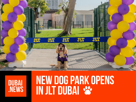 Dog Park