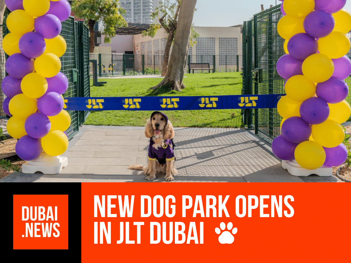 Dog Park