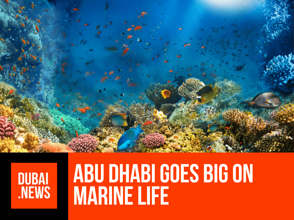 The World’s Richest Seas