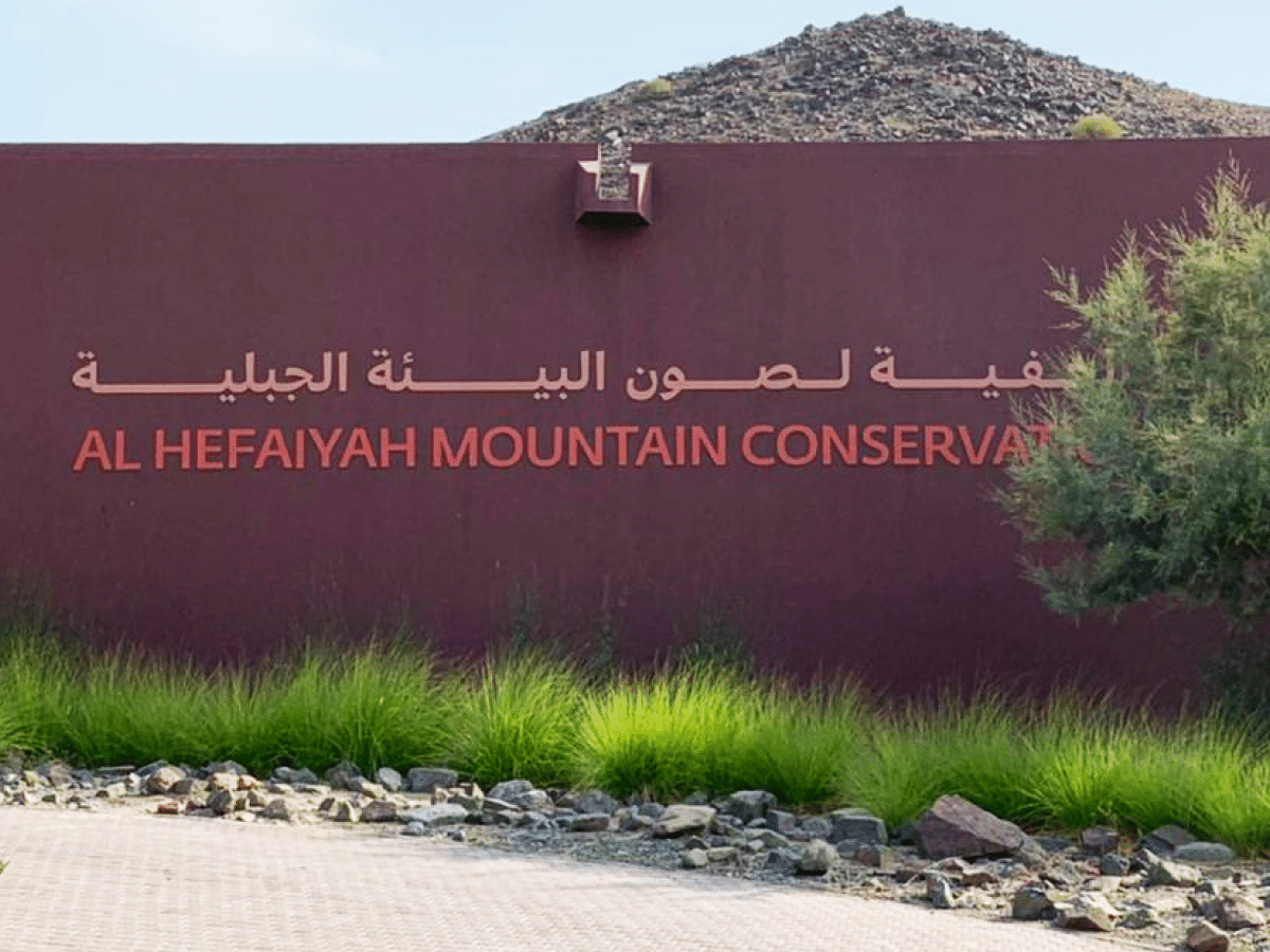 Al Hefaiyah Mountain