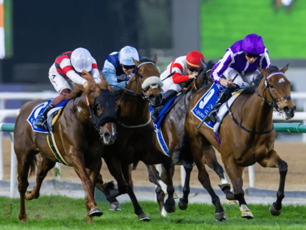 Dubai World Cup