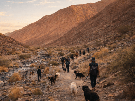 Wadi Bih Hike