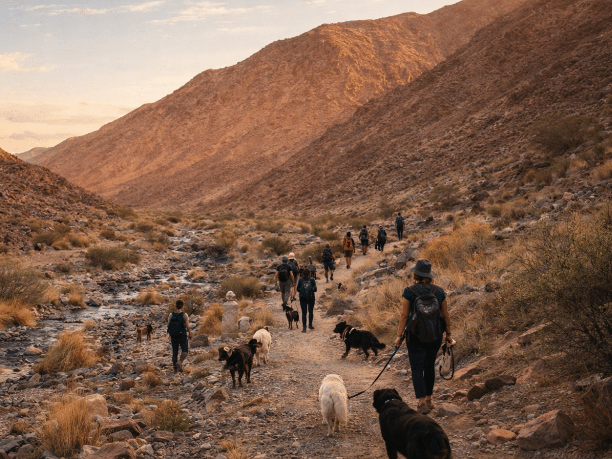 Wadi Bih Hike