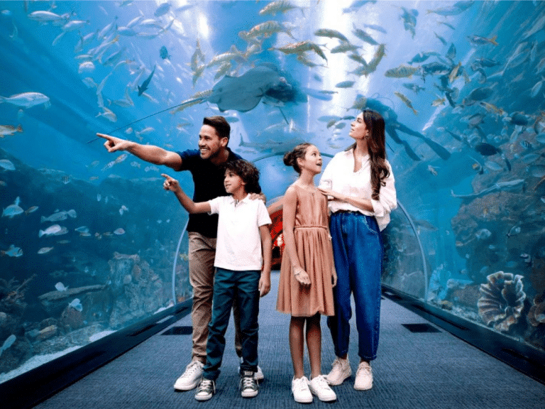 Dubai Plans