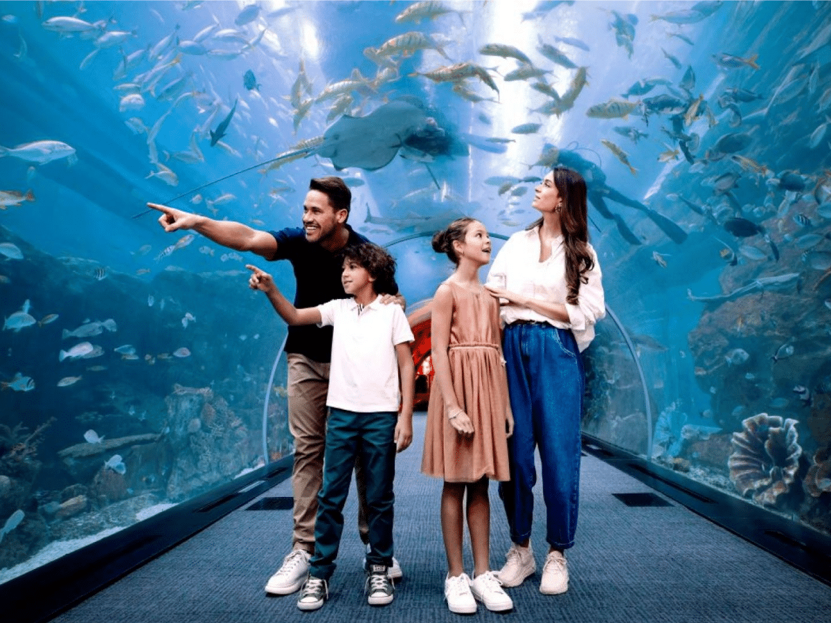 Dubai Plans