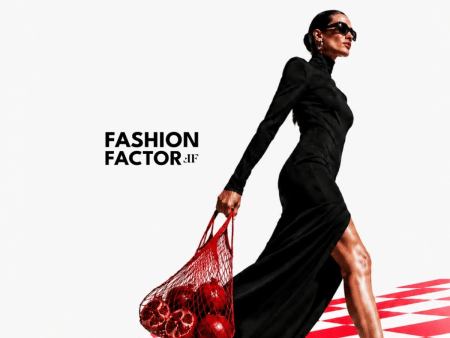 Fashion Factor 14th Edition